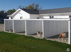 two dogs are standing in their kennels on the grass next to a house