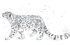 a drawing of a snow leopard walking in the snow with spots on it's fur