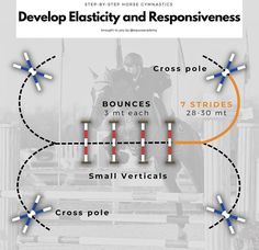 the diagram shows how to use an obstacle course for horses and their riders, as well as