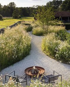 Cozy Patio, Garden Designer, Have Inspiration, Family Garden, Back Garden, Country Gardening, Outdoor Fire, Outdoor Fire Pit