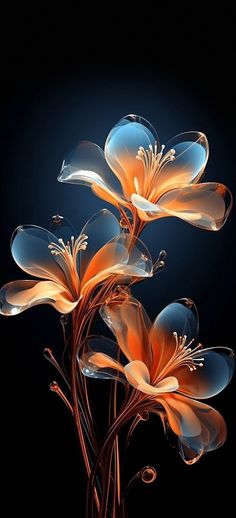 some flowers that are in the dark with water on them and one flower is glowing orange