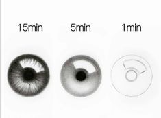 three different types of eyeballs are shown