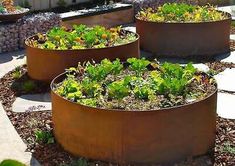 three large metal planters filled with plants