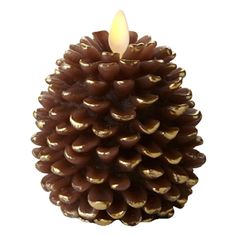 a candle that is sitting on top of a pine cone