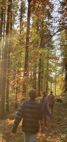 three people are walking through the woods together