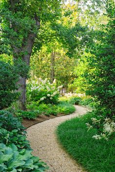 a garden path surrounded by lush green trees