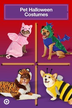 the pet halloween costumes are on display in front of a purple background with four different pictures