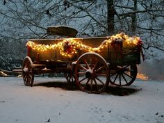 a horse drawn carriage with christmas lights on it's back in the snow at night