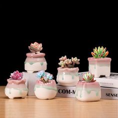 six ceramic succulents are sitting on top of a book and some books