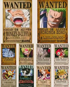 the wanted poster for one piece