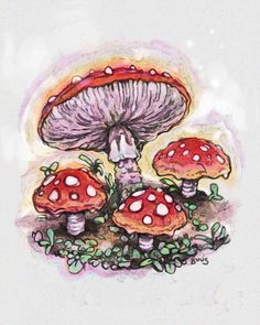 a drawing of three mushrooms in the grass