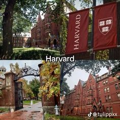 two pictures of harvard buildings and the same building with red banners hanging from it's sides