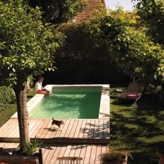 a person sitting on the edge of a swimming pool with a dog in front of them