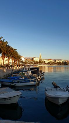 several boats are docked in the water next to palm trees and buildings on the shore