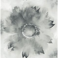 sample watercolor sunflower wallpaper in grey and black from the latelier de paris collection by seabrook 1 Paris Atelier, Paris Wallpaper, Sunflower Wallpaper, Contemporary Wallpaper, Wallpaper Rolls, Watercolor Wallpaper, Winter Wallpaper, Watercolor Sunflower, Hand Painted Artwork