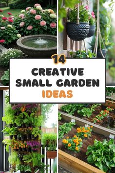 small garden ideas that are easy to grow