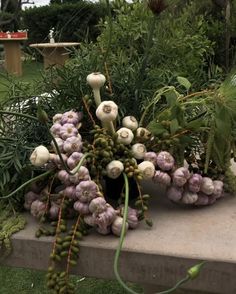 an arrangement of garlic and other plants on a bench in a garden with green grass