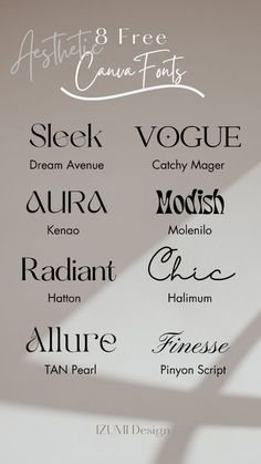 some type of font that is in different styles and colors, with the names below it