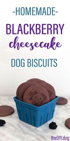 homemade blackberry cheesecake dog biscuits in a blue dish