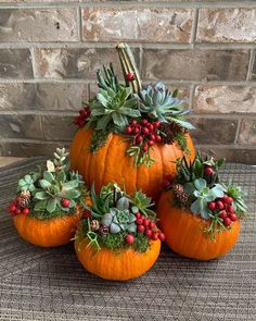 four pumpkins decorated with succulent plants and berries