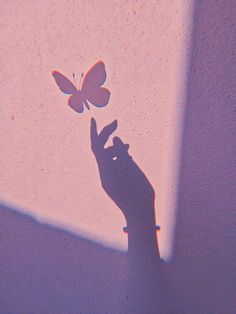 a shadow of a hand holding a butterfly