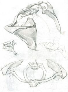 some drawings of different shapes and sizes