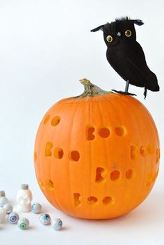 a black bird sitting on top of a carved pumpkin with holes in it's side