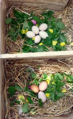 two boxes filled with eggs sitting on top of grass and straw covered ground next to each other