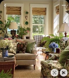 a living room filled with furniture and lots of plants on the windows sill in front of them