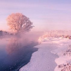 a foggy river with trees in the background and snow on the ground around it