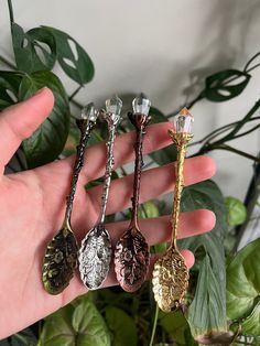 a hand holding four different colored spoons in it's palm, next to a potted plant