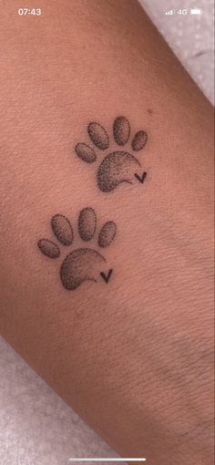 a dog paw tattoo on the arm with an image of a cat's paw