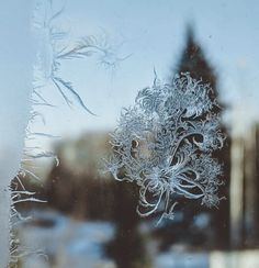 the frosted window pane is looking out at a building in the back ground