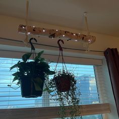 two plants are hanging from a window sill in front of the blinds with lights on them