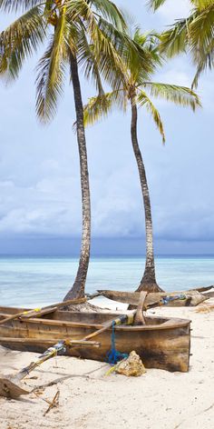 two palm trees on the beach next to a boat