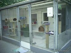 a caged in area with several birds inside