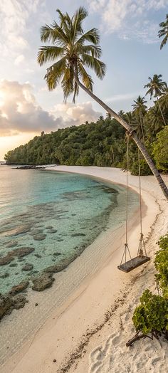 a hammock hanging from a palm tree on the beach with clear blue water