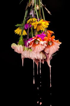 a bunch of flowers that are hanging in the air with water dripping from them on a black background