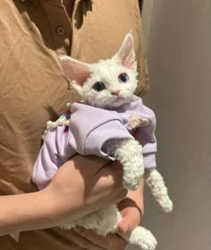 a person holding a white cat wearing a sweater