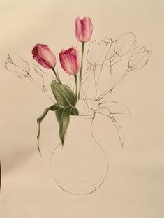 a drawing of some pink flowers in a vase