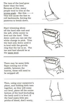 the instructions for how to draw a bowl with different shapes and sizes, including text