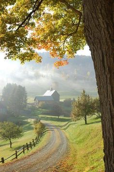 an image of a country road with a barn in the distance and trees on either side