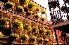 an old building with plants growing on the balconies