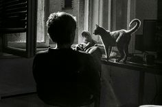 a man sitting in front of a window next to a cat on top of a table