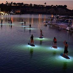 several people stand on surfboards in the water at night, with lights reflecting off them