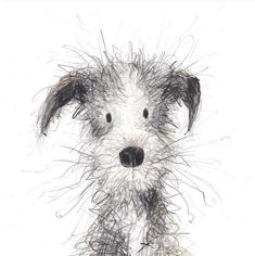 a drawing of a dog with hair on it's head and eyes, looking at the camera