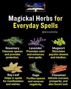 Cleansing Spell, Psychic Dreams, Spell Magic, Modern Day Witch, Spells And Rituals, Earth Magic