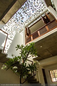 a tree in the middle of a room with a skylight above it and stairs leading up to the second floor