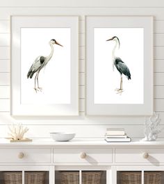 two framed paintings of birds on a wall above a white table with wicker baskets