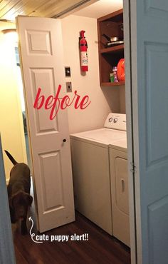 a dog is standing in front of the washer and dryer